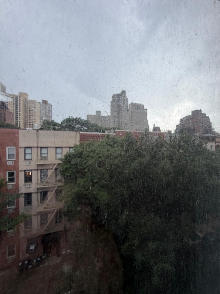 East 83rd Street - Photo 9
