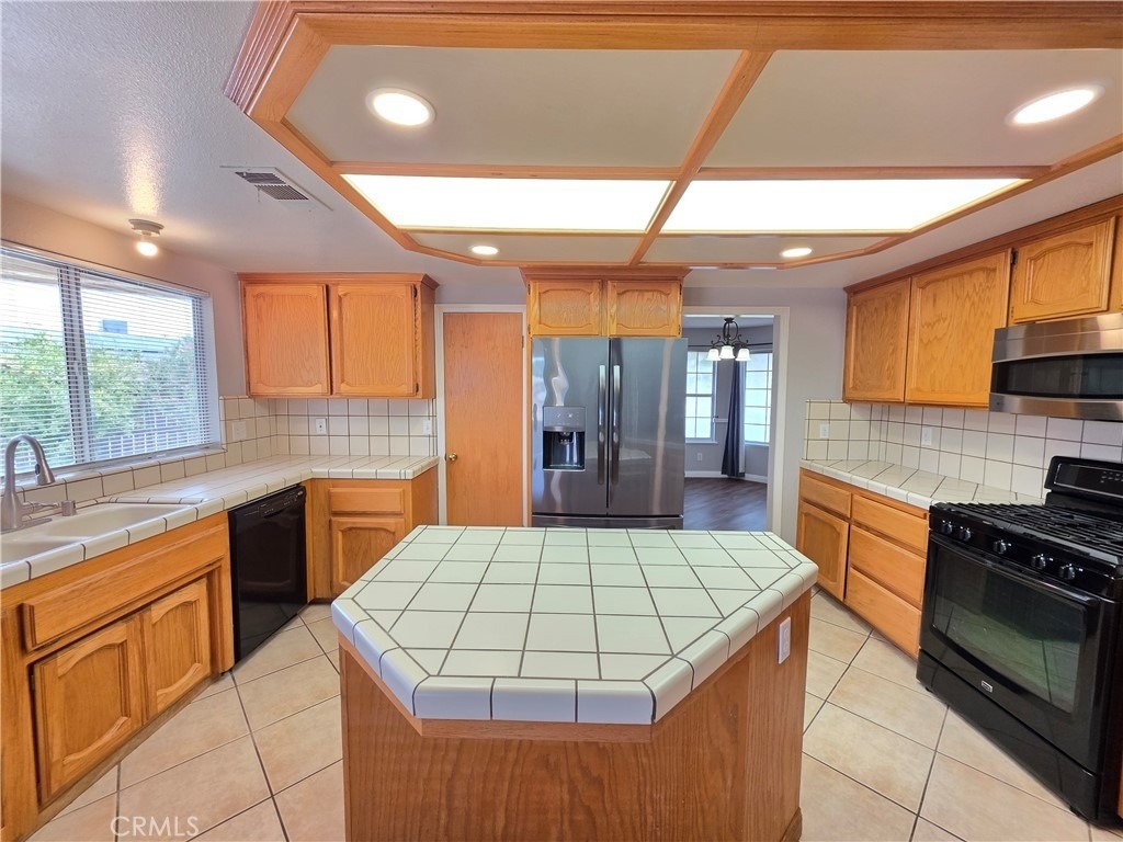 21741 Adler - Photo 3
