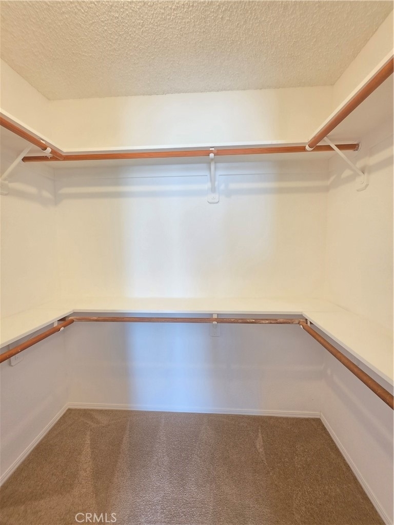 21741 Adler - Photo 24