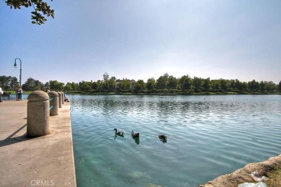 4 Pinzon - Photo 24