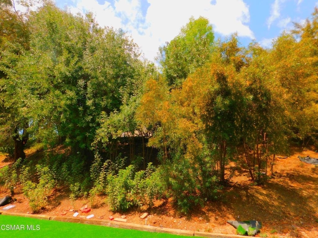 6629 Bayberry Street - Photo 34