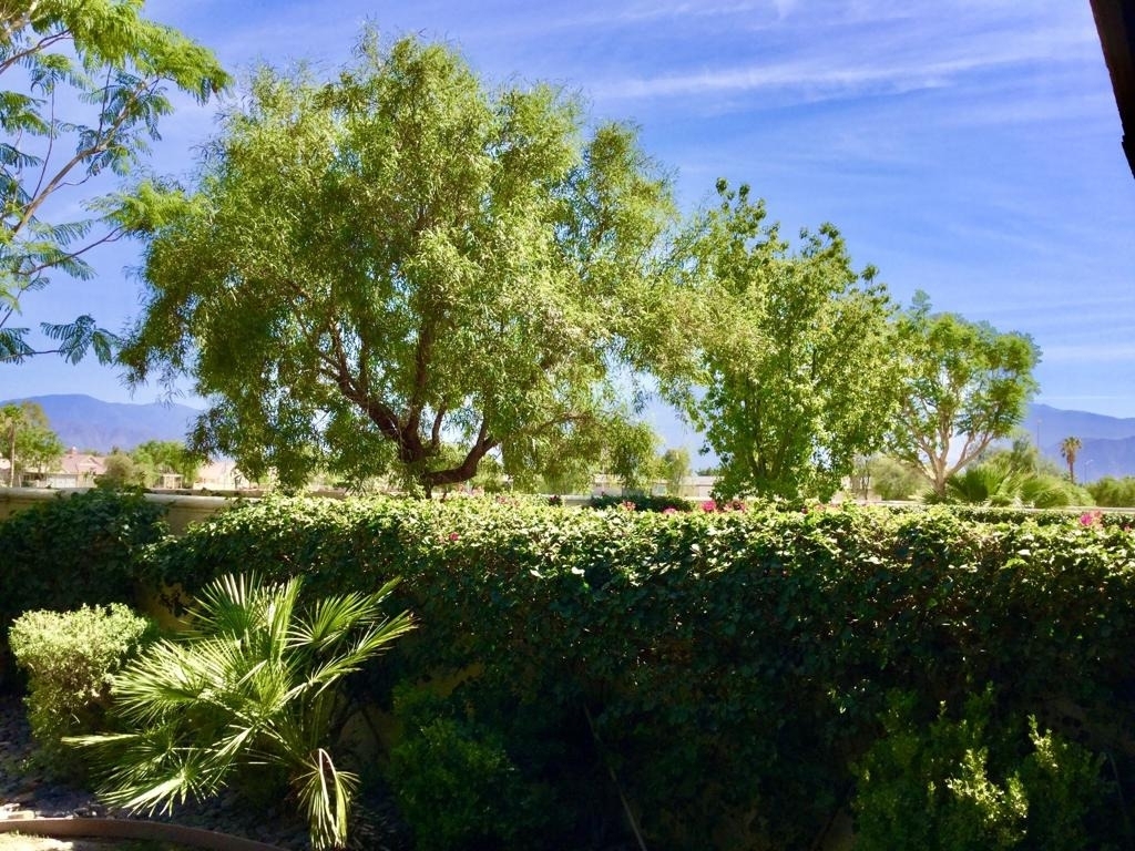82775 Burnette Drive - Photo 3