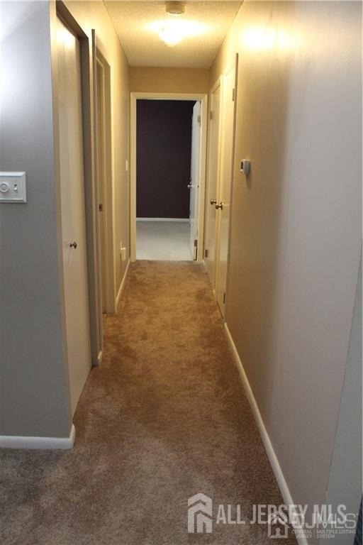 5219 Ravens Crest - Photo 11
