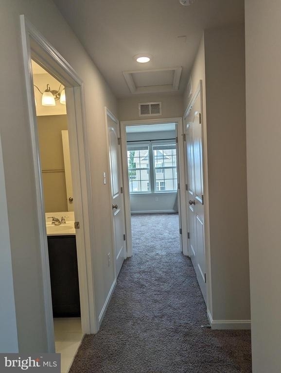 64 Vespucci Lane - Photo 14