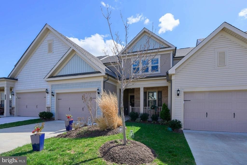 15563 Blue Lotus Lane - Photo 0