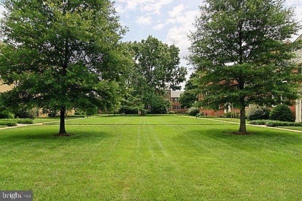 1803 Belle View Boulevard - Photo 28