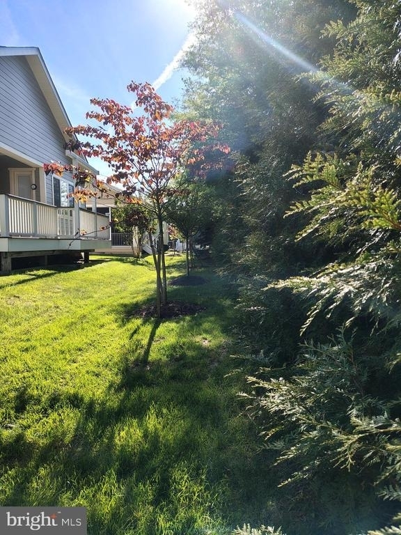 213 Grebe Drive - Photo 6