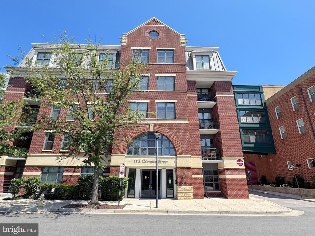 1111 Oronoco Street - Photo 1