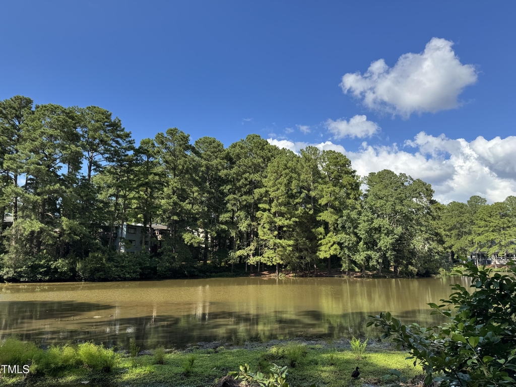 5112 Flint Ridge Place - Photo 1