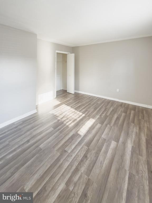 1616 Diamond St - Photo 4