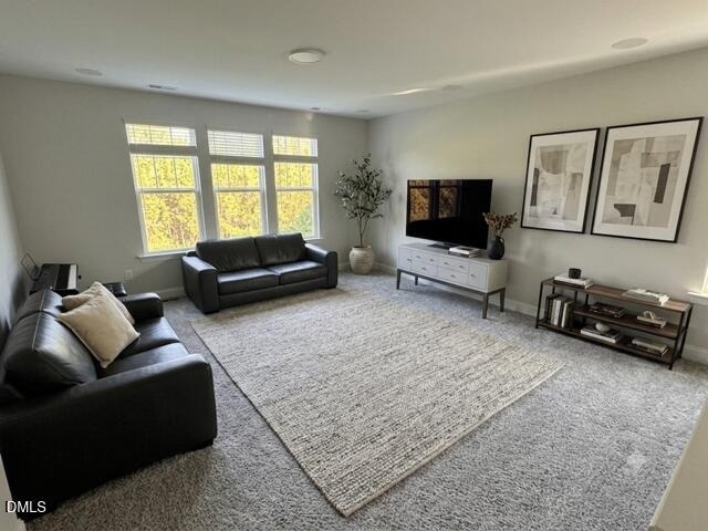 123 Pepperwood Way - Photo 21