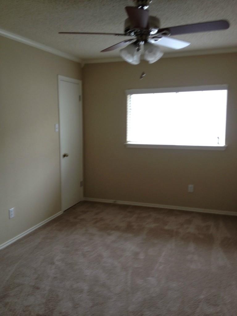 1803 Marysol Trl - Photo 23