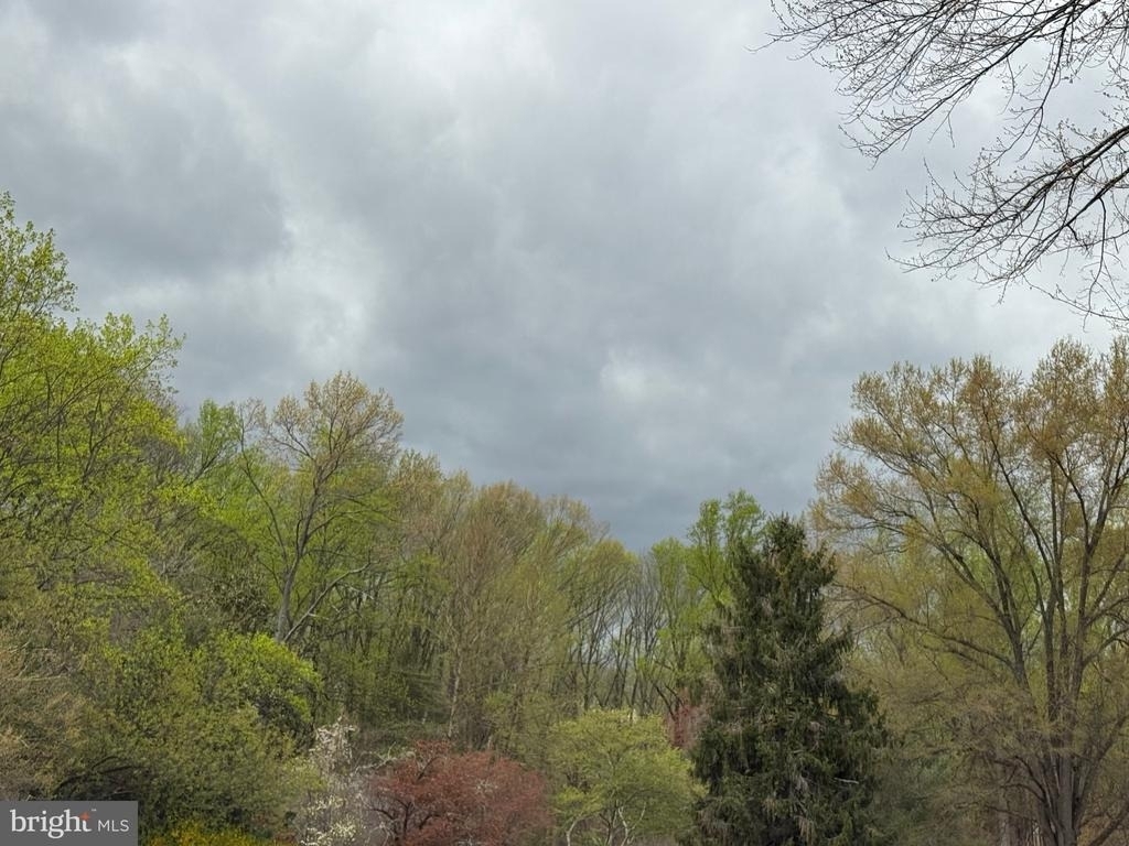 14713 Flints Grove - Photo 49