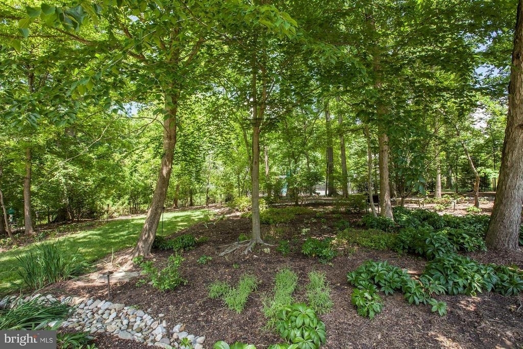 9909 Avenel Farm Drive - Photo 25