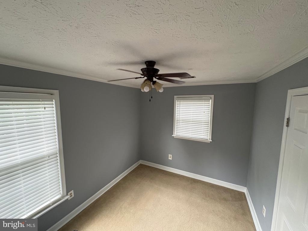 10811 Topbranch Lane - Photo 7