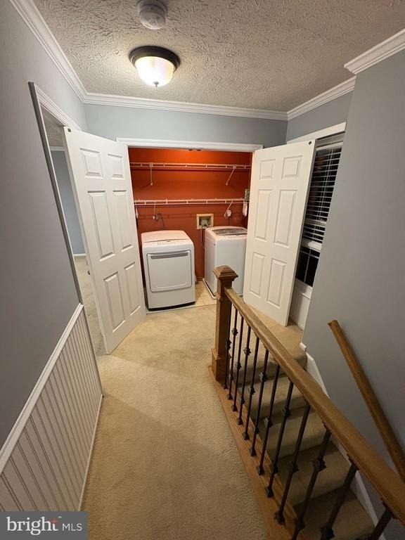 10811 Topbranch Lane - Photo 4