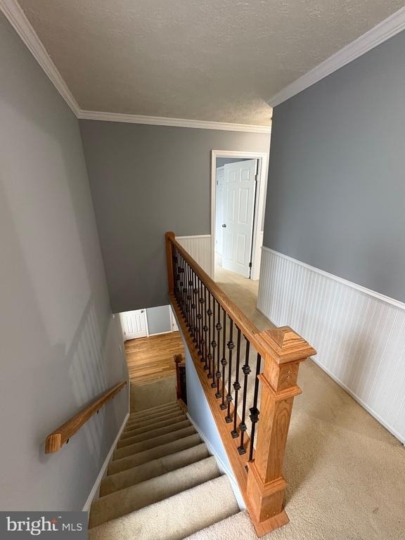 10811 Topbranch Lane - Photo 6