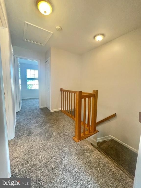 717 Orley Place - Photo 11