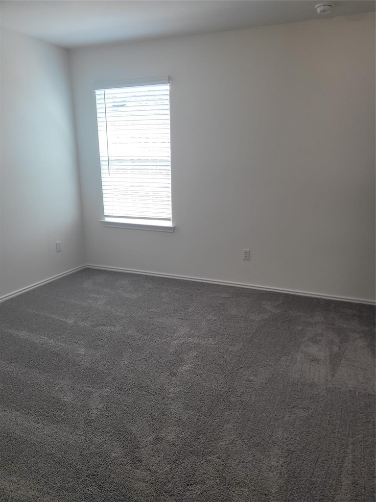 4465 Acerno St - Photo 23