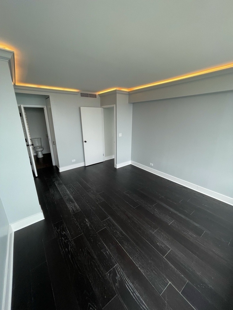3200 N Lake Shore Drive - Photo 12