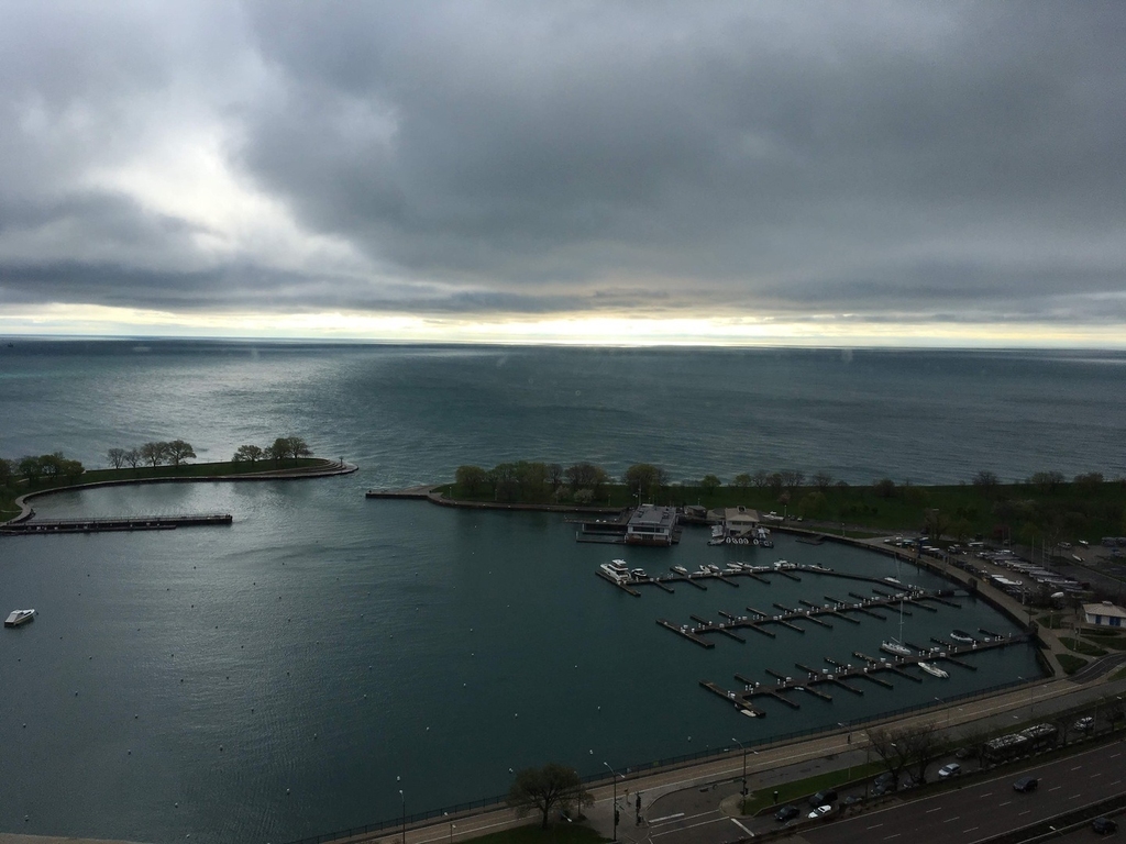 3200 N Lake Shore Drive - Photo 30