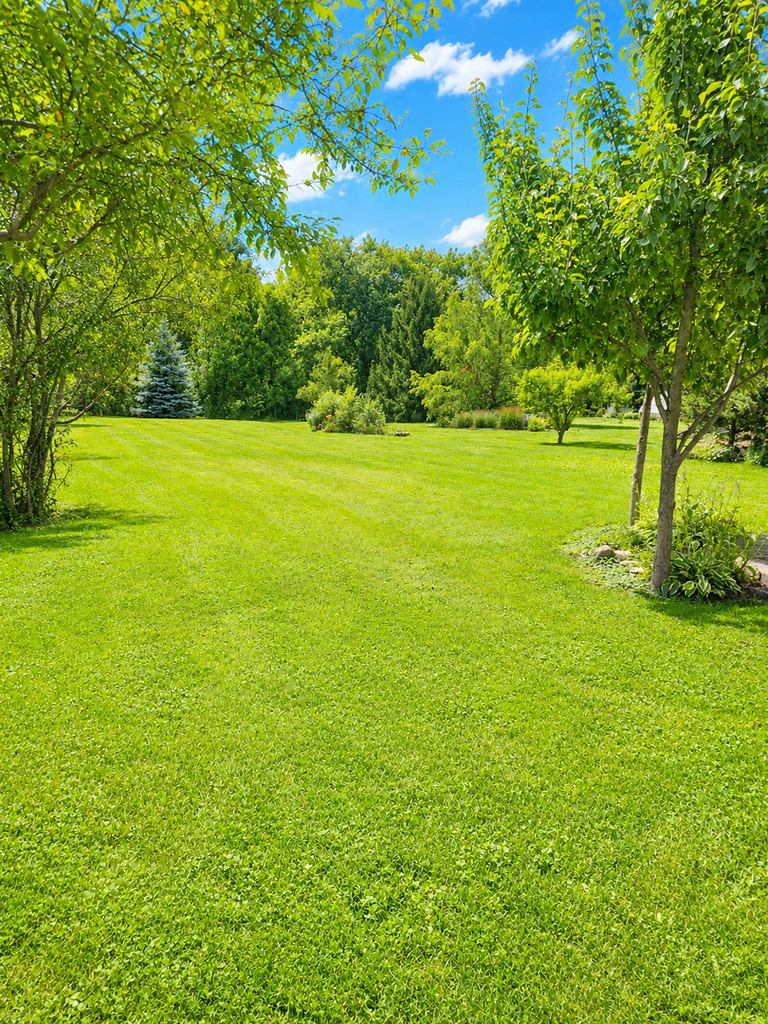 1462 Glen Ellyn Road - Photo 16