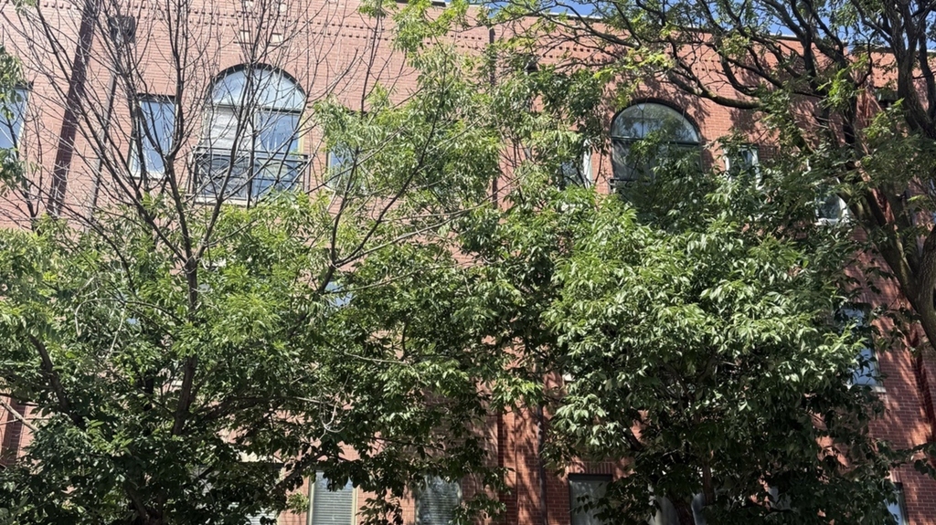 420 N Noble Street - Photo 1