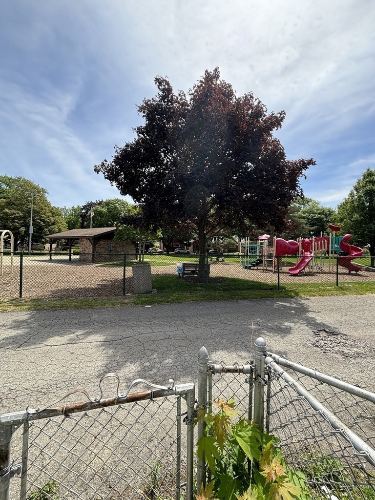 3407 Cuyler Avenue - Photo 31