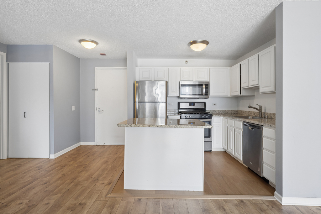 545 N Dearborn Street - Photo 5