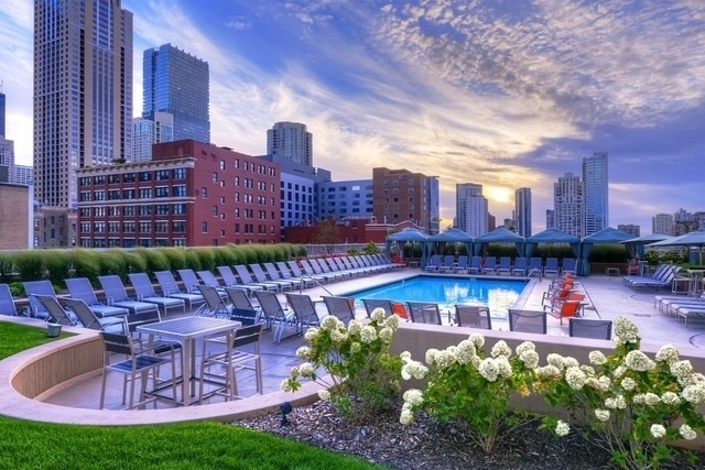 545 N Dearborn Street - Photo 16
