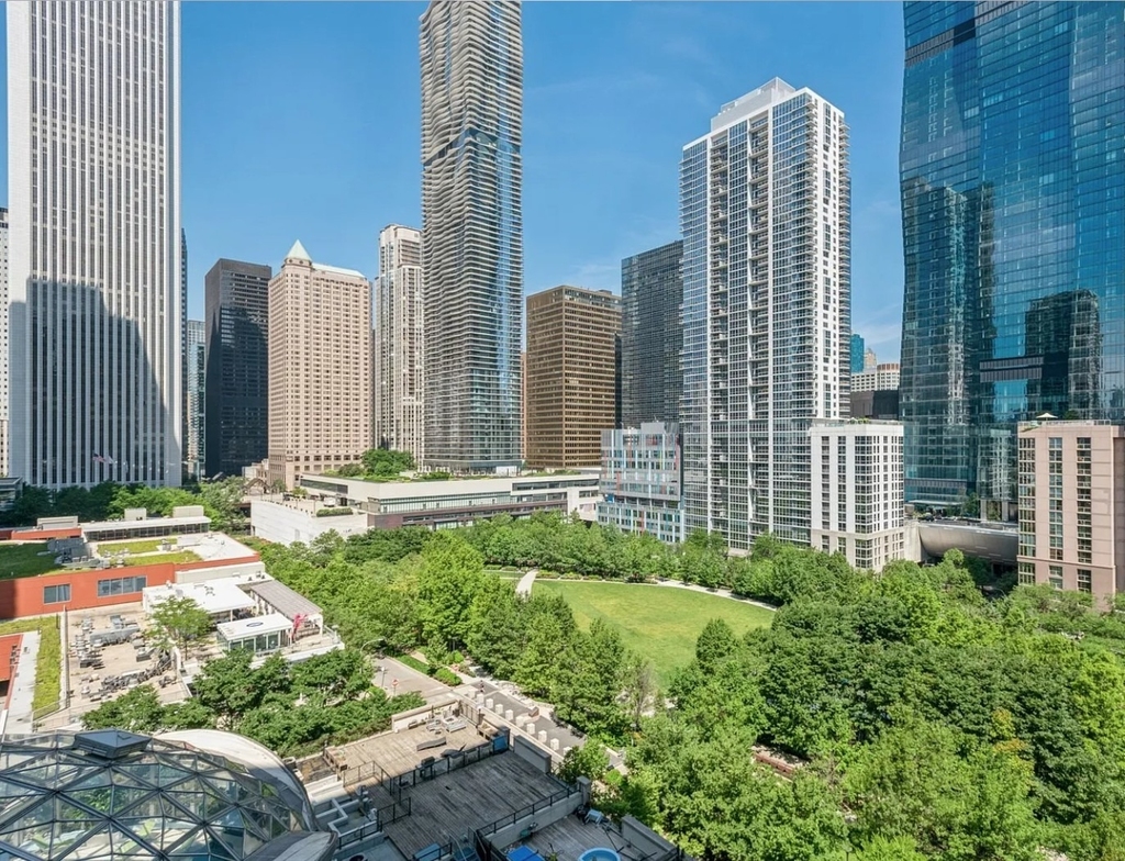 400 E Randolph Street - Photo 10