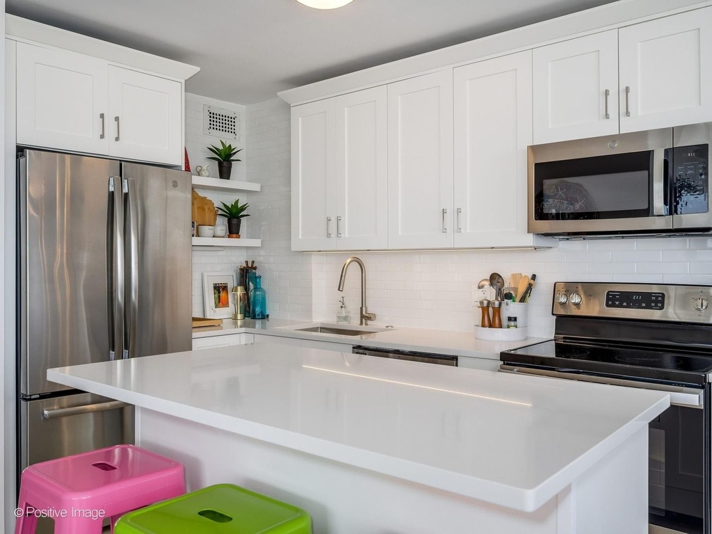 1455 N Sandburg Terrace - Photo 13