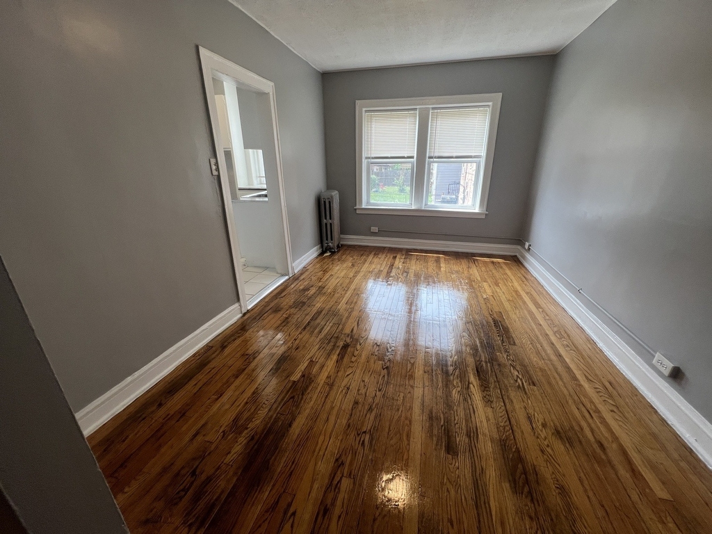 241 E 108th Street - Photo 3