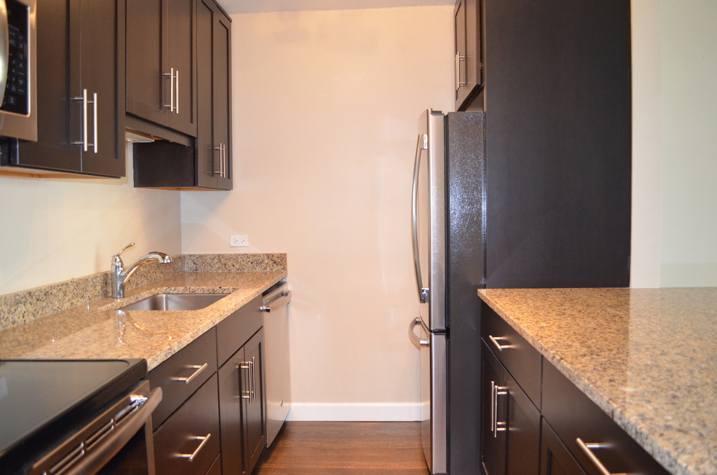 535 N Michigan Avenue - Photo 3