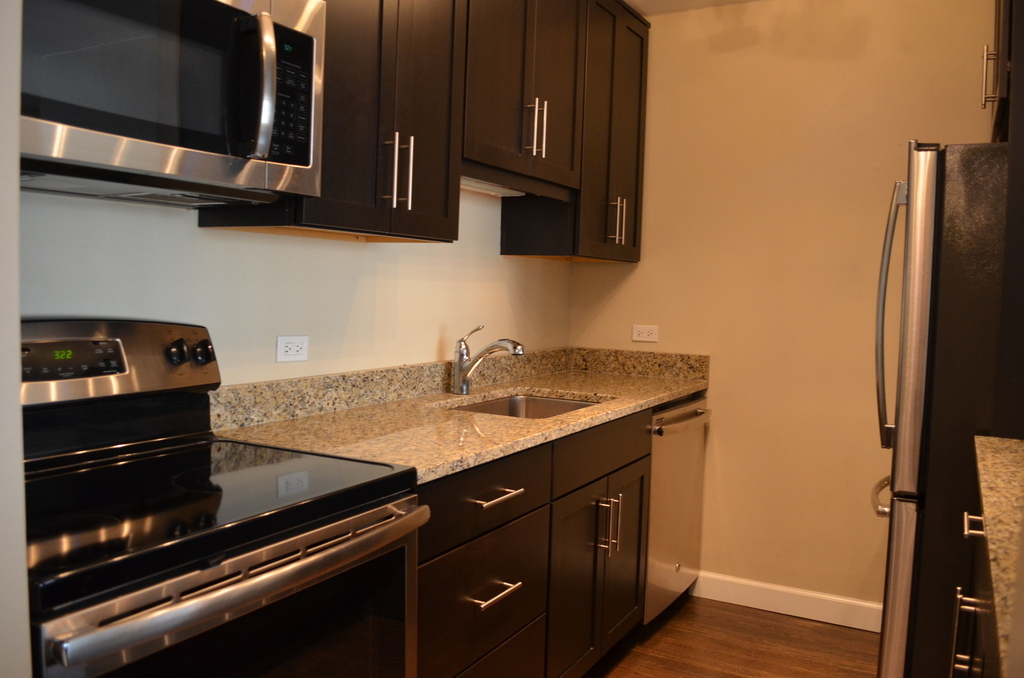 535 N Michigan Avenue - Photo 1