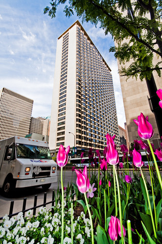 535 N Michigan Avenue - Photo 0