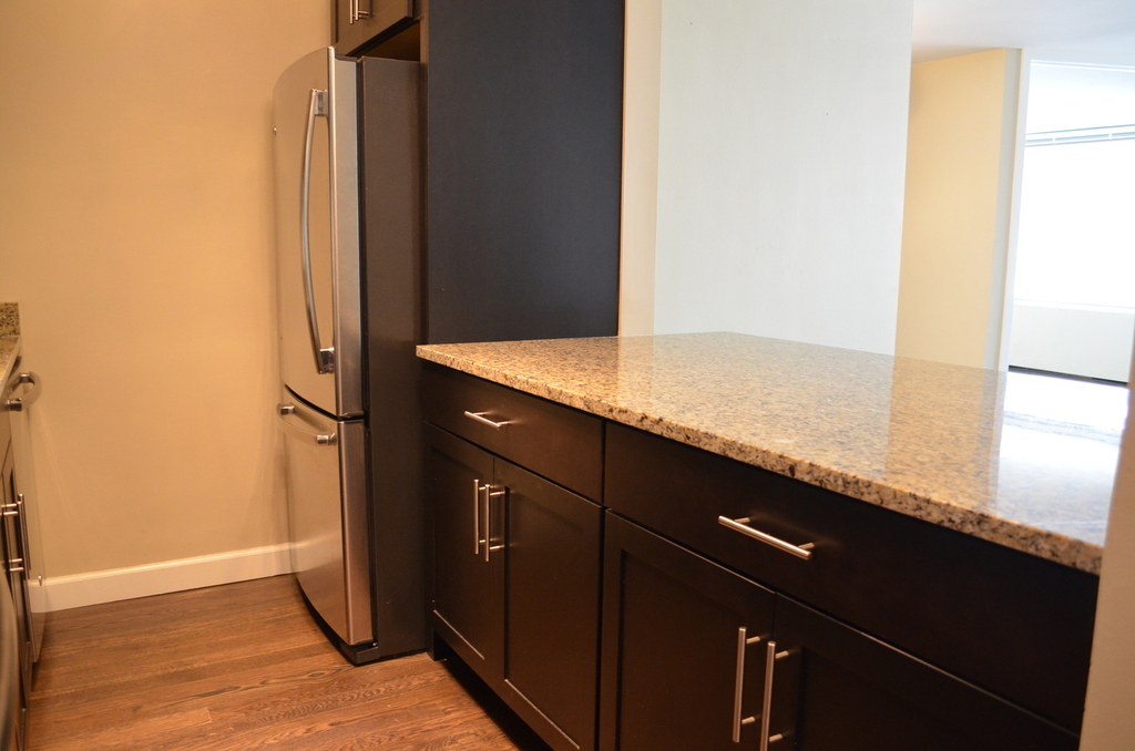535 N Michigan Avenue - Photo 2