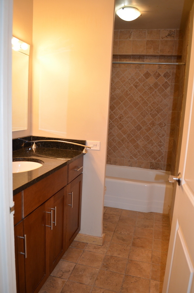 535 N Michigan Avenue - Photo 7