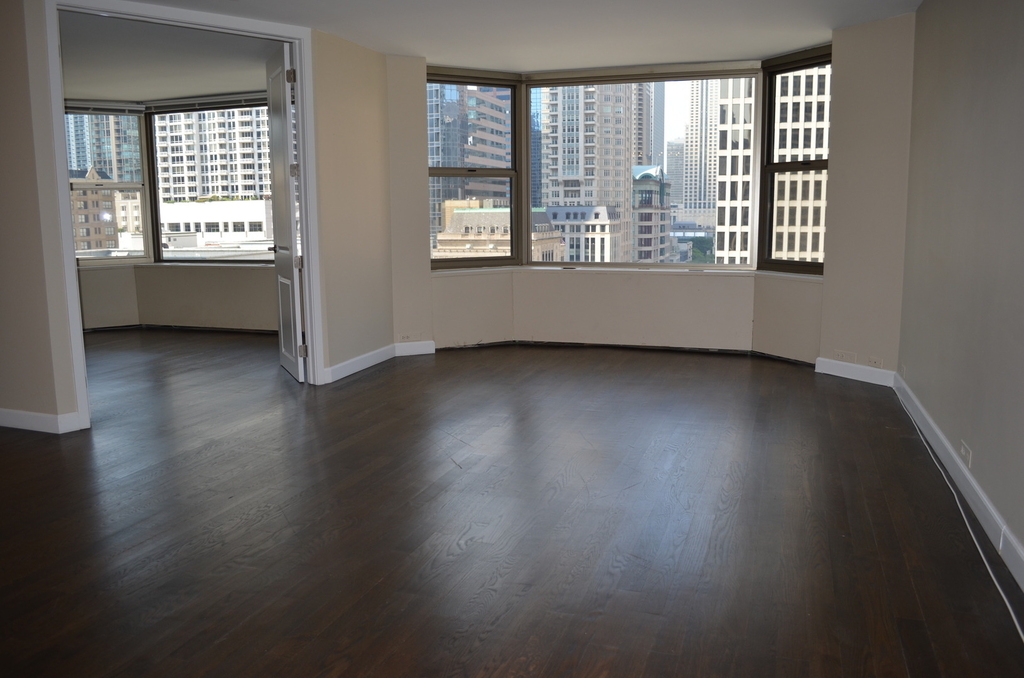 535 N Michigan Avenue - Photo 5