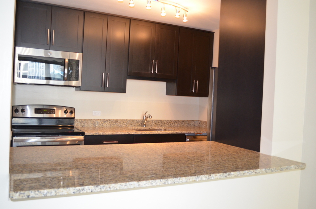 535 N Michigan Avenue - Photo 4