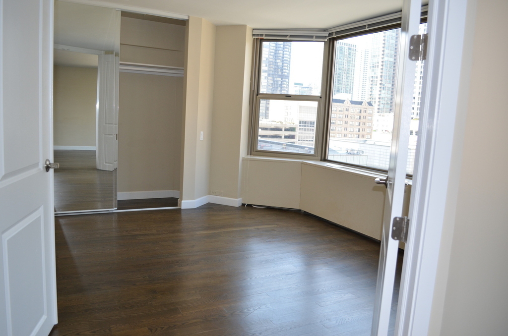 535 N Michigan Avenue - Photo 8