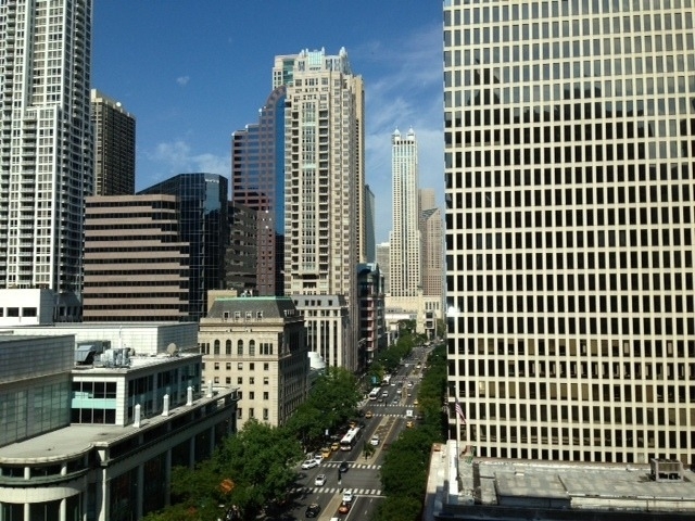 535 N Michigan Avenue - Photo 9