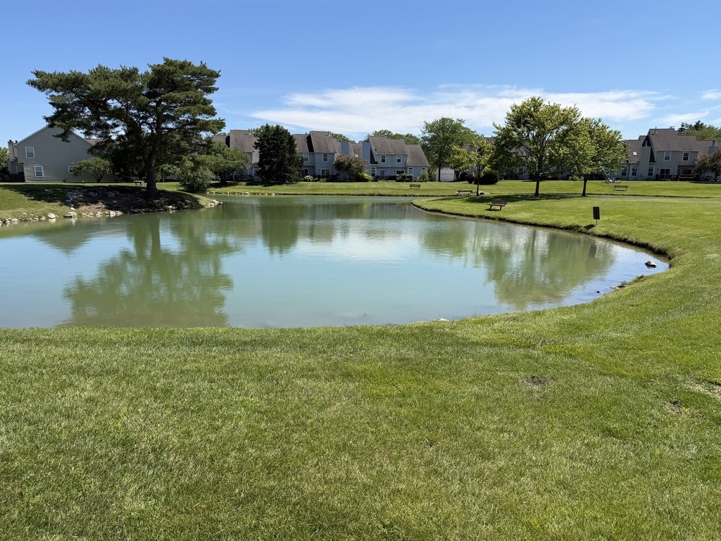13000 Heiden Circle - Photo 4
