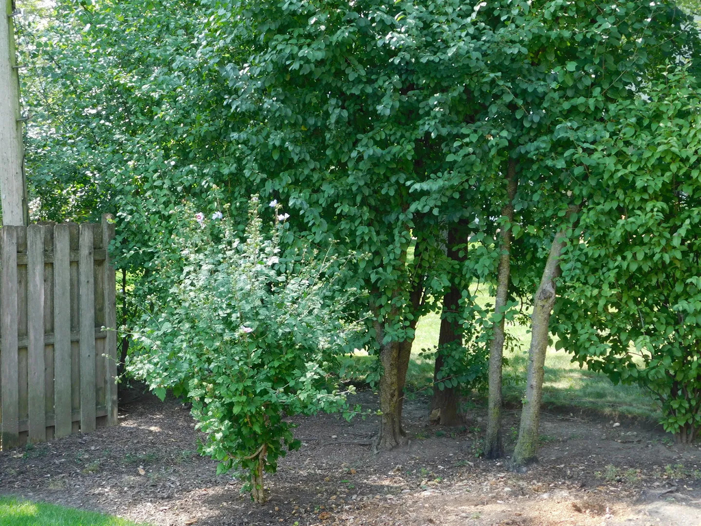 1911 Dewes Street - Photo 16