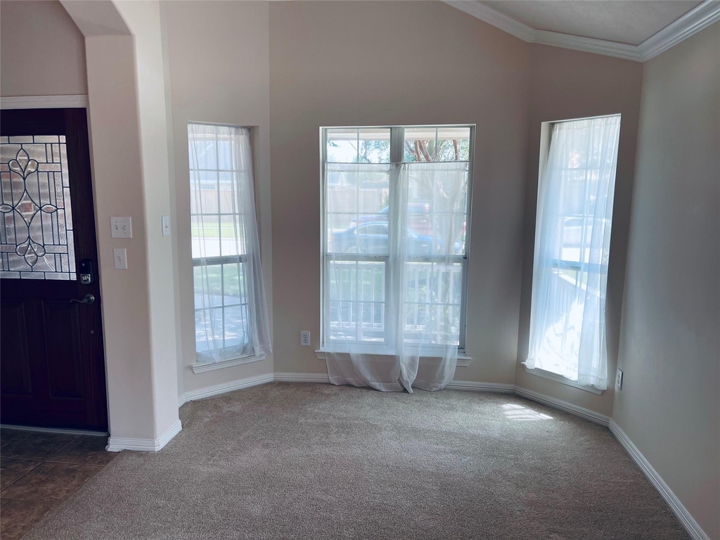 10723 Lake Riata Lane - Photo 5