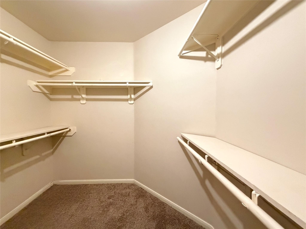 20423 White Poplar Drive - Photo 11