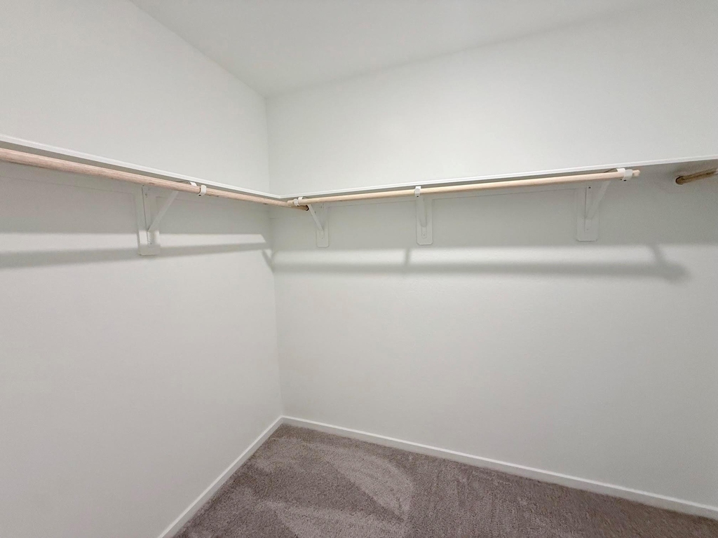 920 Capracotta Drive - Photo 6