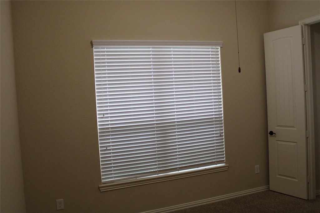21911 Avalon Queen Drive - Photo 10