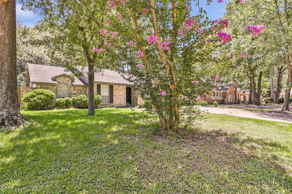 2414 Chanay Lane - Photo 3