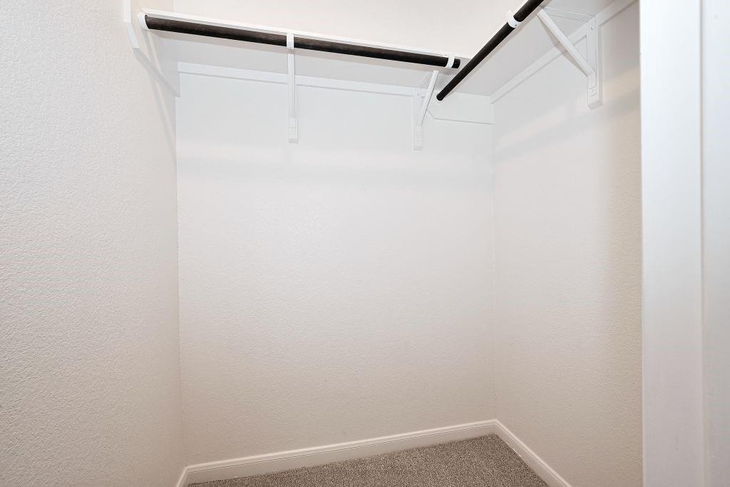 29310 Sweet Orange Court - Photo 27